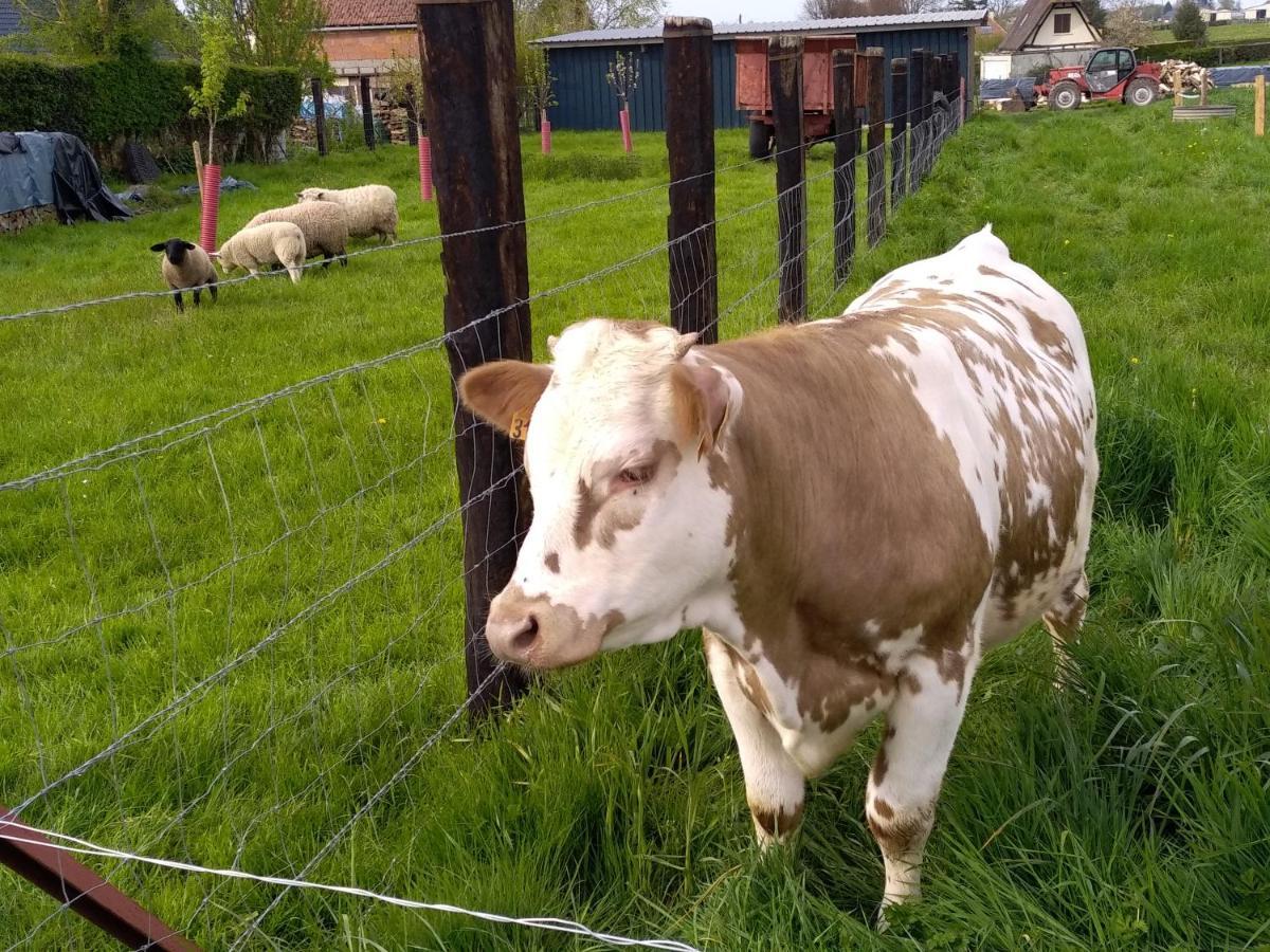 A La Campagne, Au Calme Acomodação com café da manhã Monterolier Exterior foto